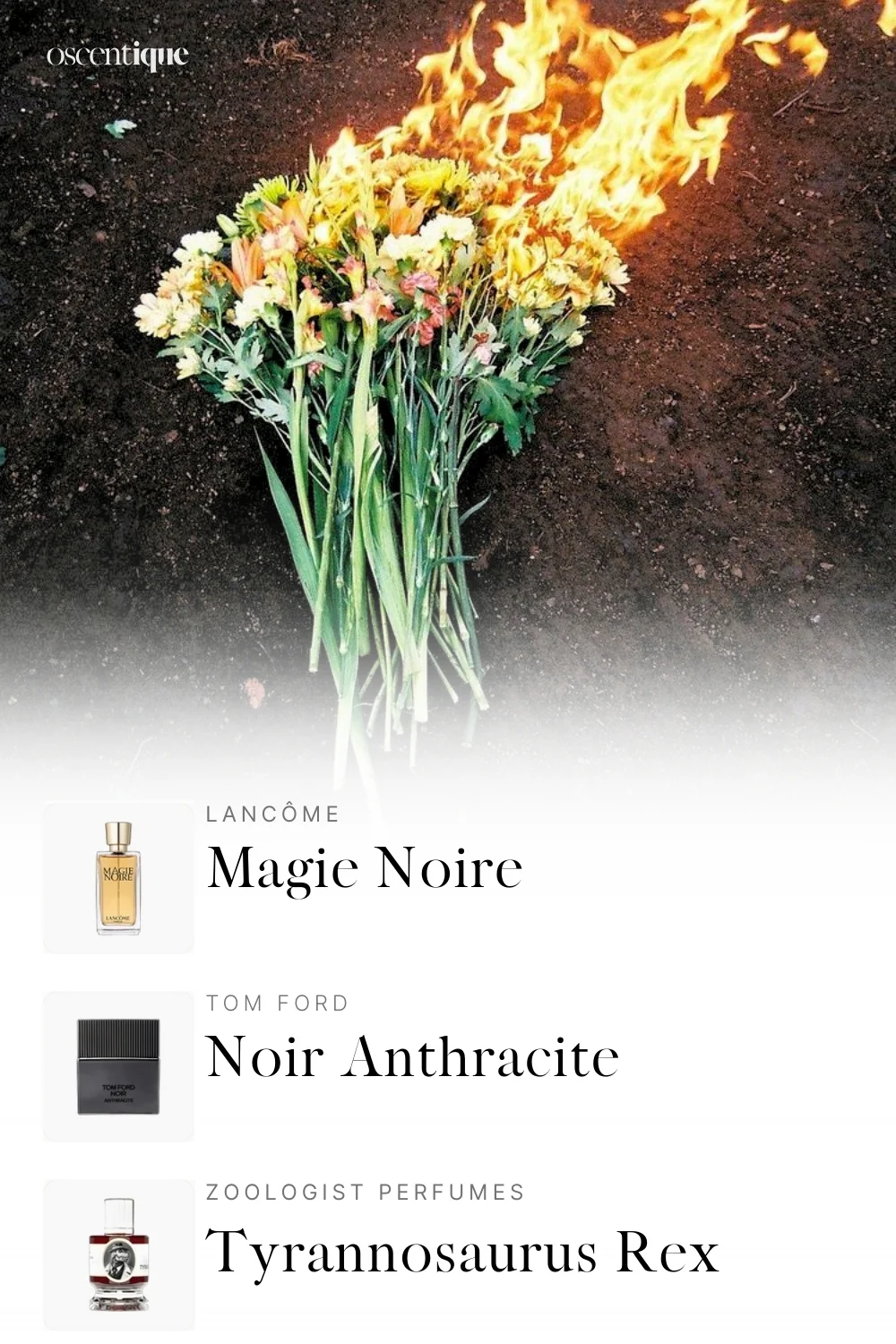 Bouquet of flowers burning on dark ground, paired with three intense, smoky perfumes with animalic depth.