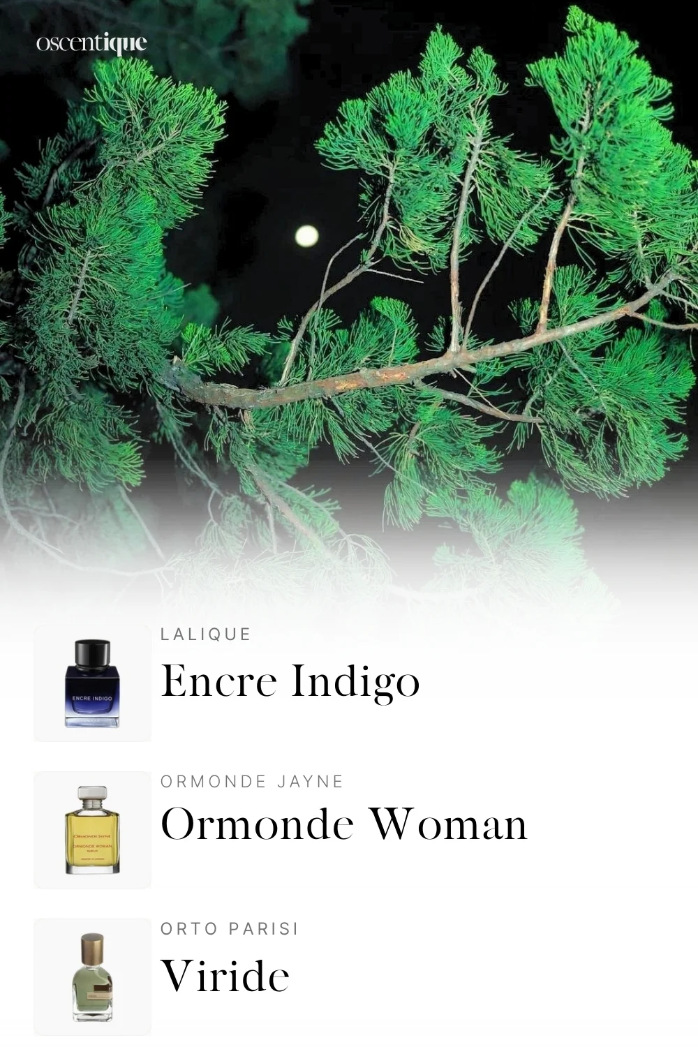 Green tree branches illuminated at night with the moon in the background, paired with three dark green, woody perfumes.