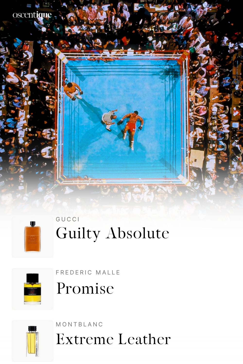 Aerial view of a boxing ring during an intense match. Bright lights and heat rising. Below, three perfumes appear: Guilty Absolute, Promise, and Extreme Leather.