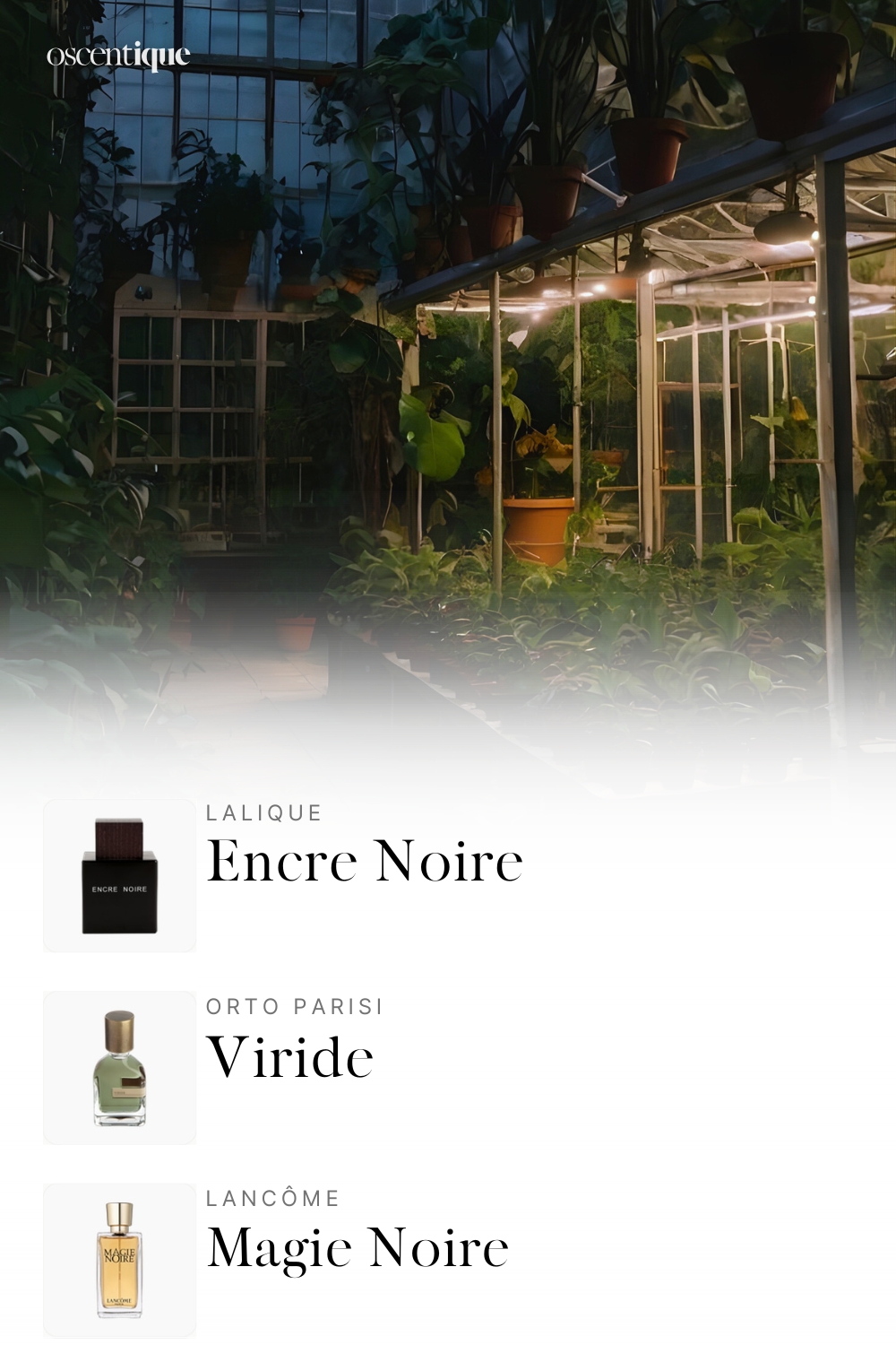 Dimly lit greenhouse at night, filled with potted plants and dark foliage, warm lamps glowing against cool glass.