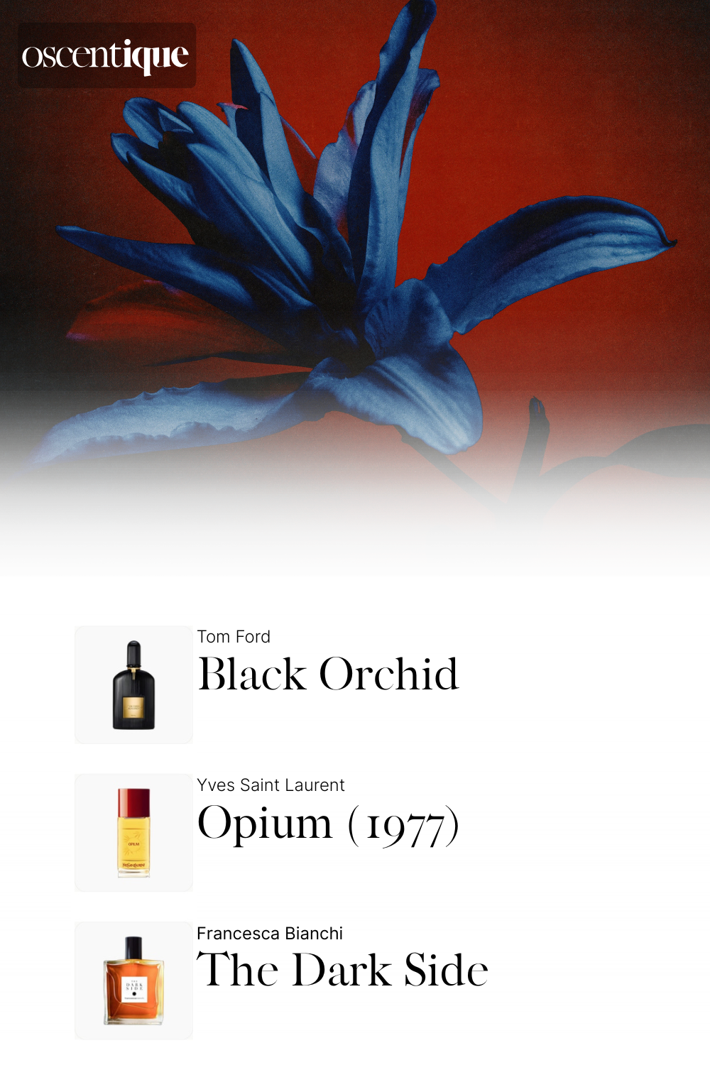 dark blue flower on red background evoking nocturnal bloom mood for perfume matching