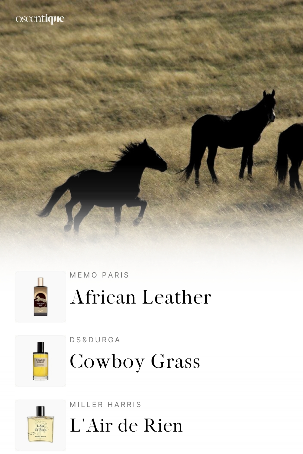 silhouettes of horses running across a dry grassy landscape, paired with three leather and animalic perfumes evoking a wild, open-air mood.