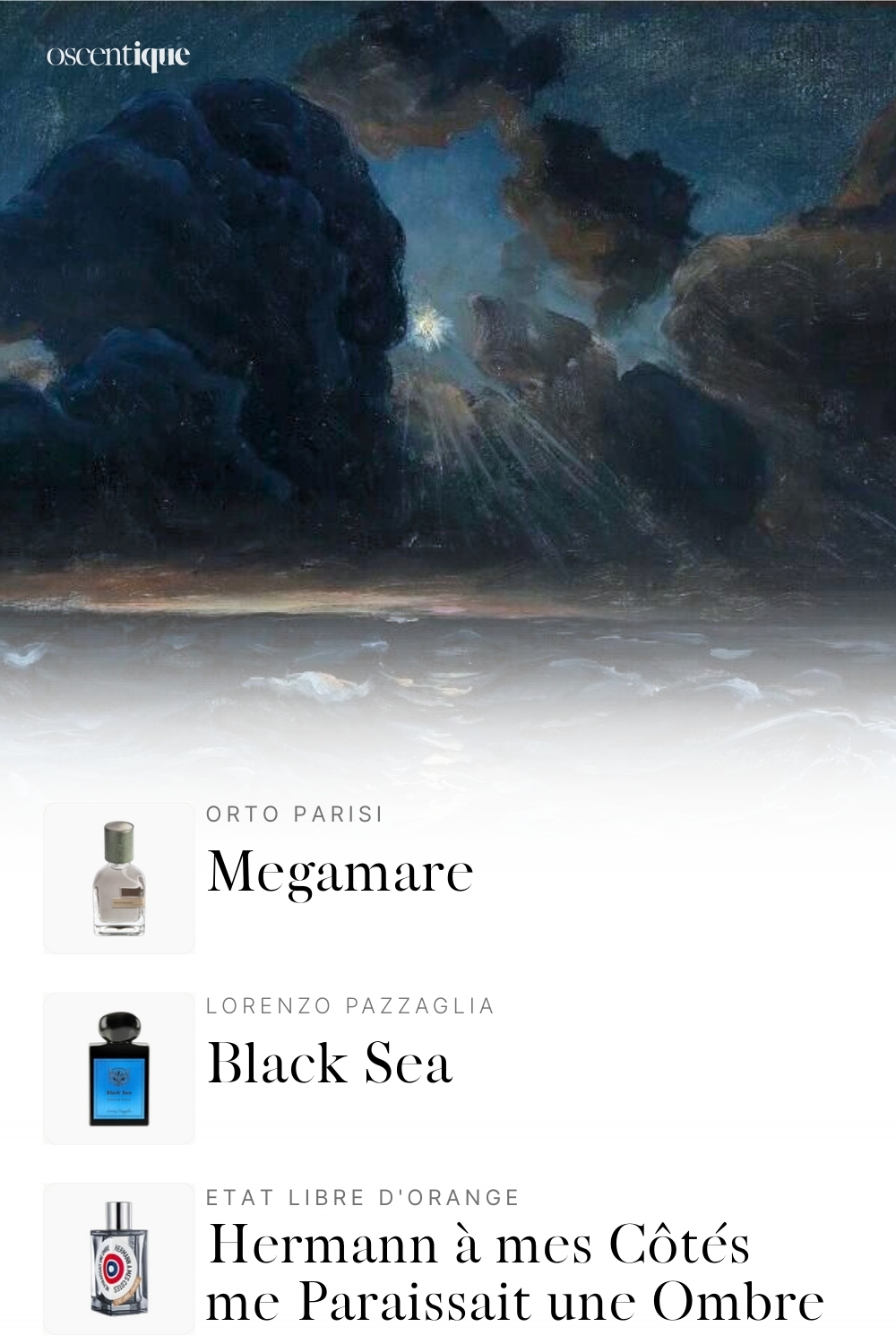 Dark seascape under heavy clouds, with three marine perfumes matching its intense, stormy mood.